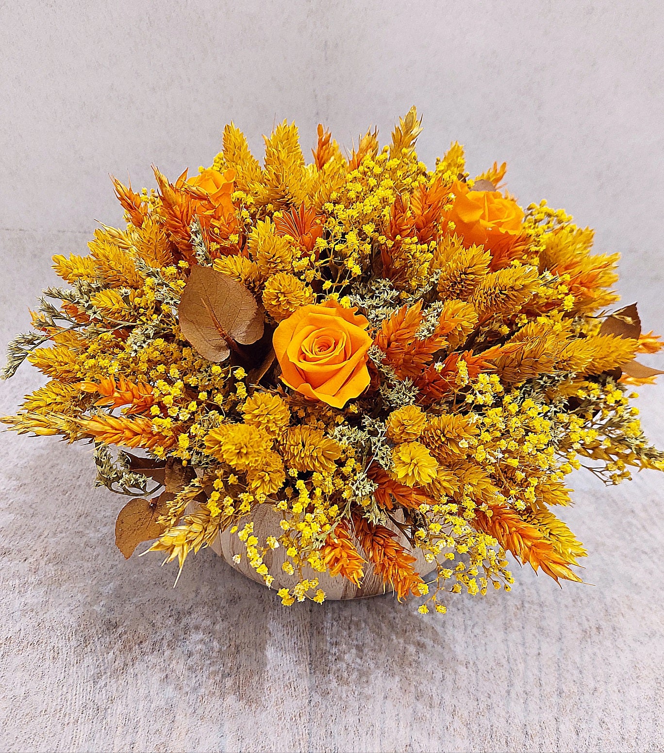 CENTRO PRESERVADO ÁFRICA