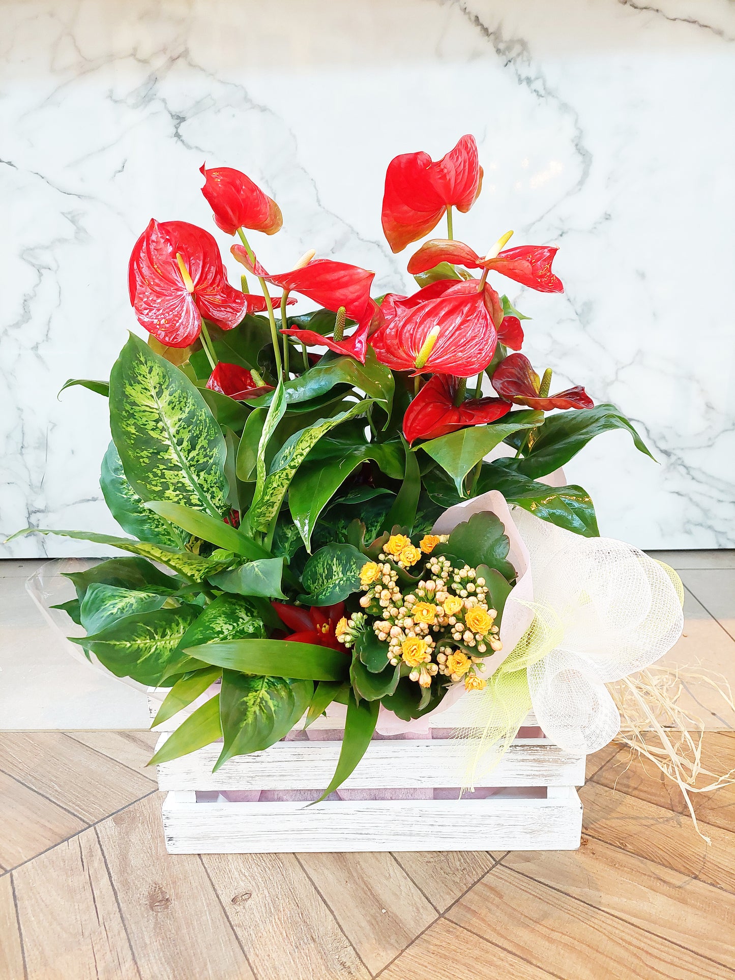 CAJA DE PLANTAS