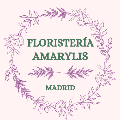 FLORISTERÍA AMARYLIS