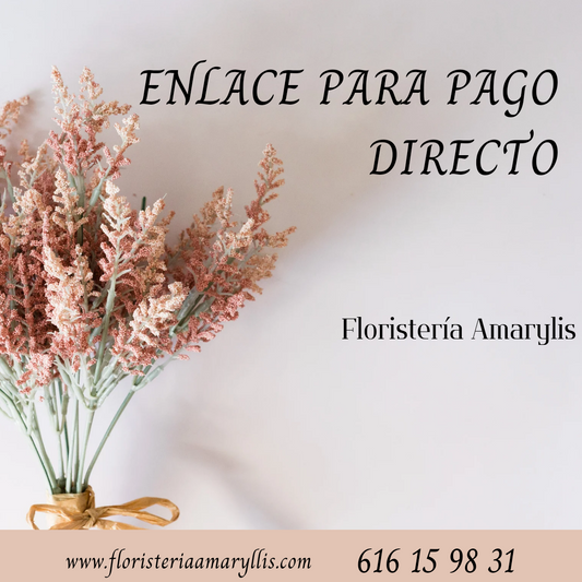 ENLACE PARA PAGO DIRECTO