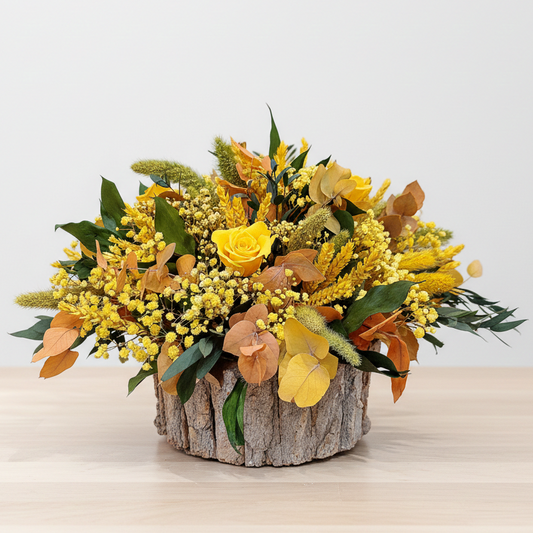 CENTRO PRESERVADO AUSTRALIA