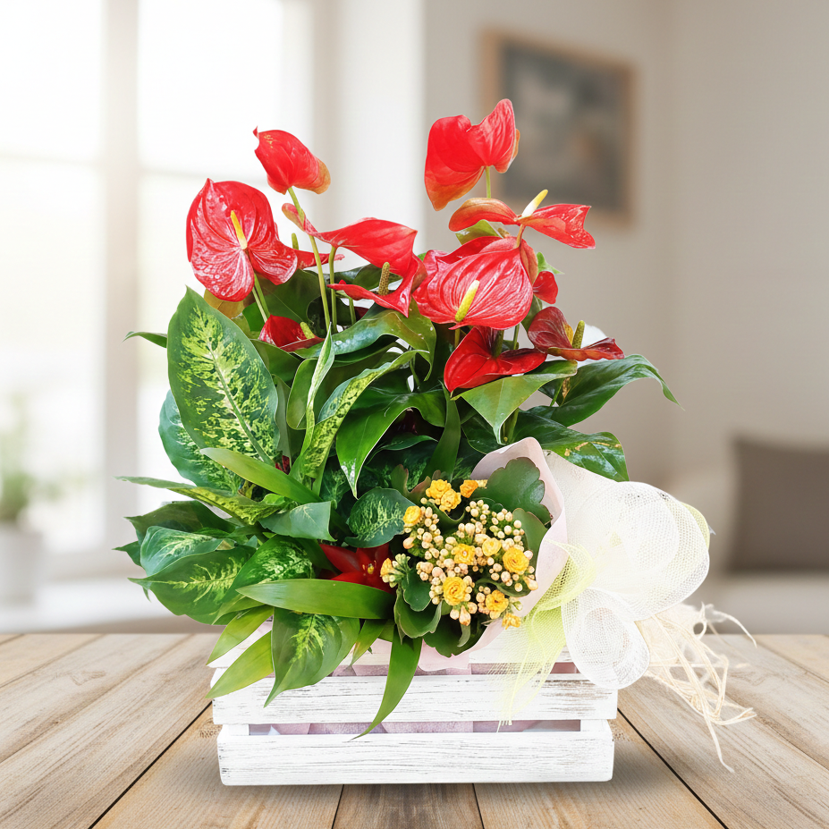 CAJA DE PLANTAS