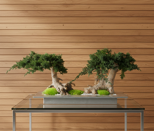 BONSAI PRESERVADO DOBLE VERDE